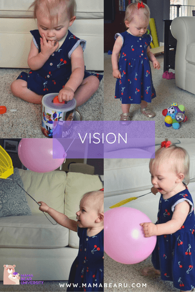 Vision Development