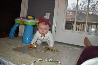Learning to Crawl