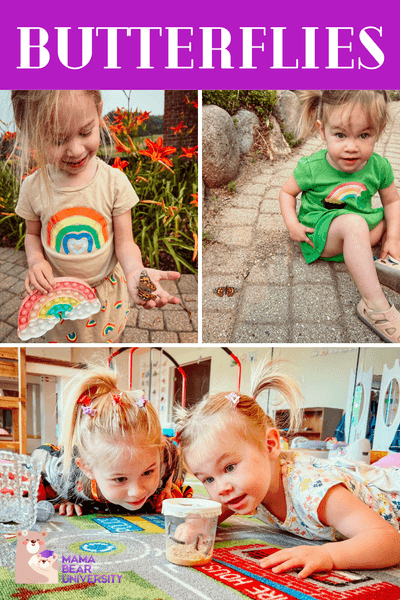 Butterfly Preschool Unit