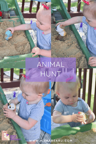 Animal Hunt